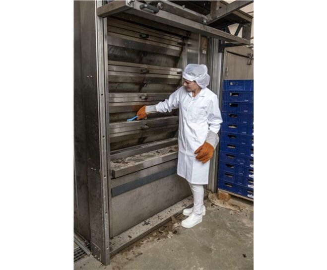 Vikan  Harde PEEK Hittebestendige Precisieborstel 205mm Blauw