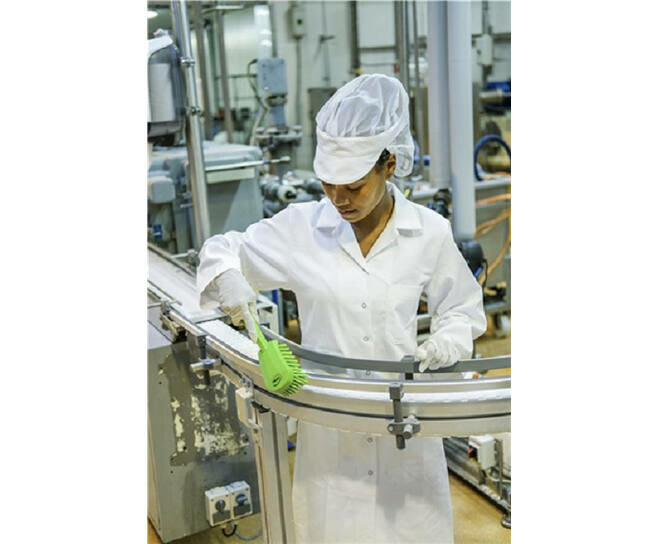 Vikan Harde Afwasborstel Met Korte Steel 270mm Limoen