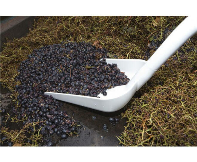 Vikan Ergonomische Schop Lange Steel 1310mm Wit