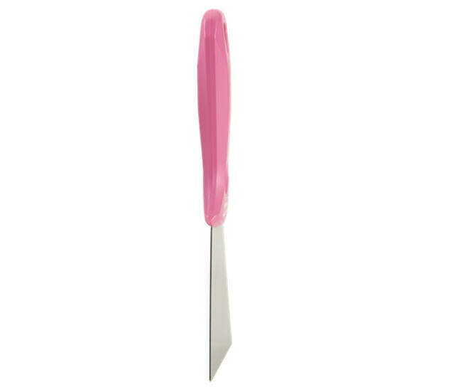Vikan RVS Handschraper Breed 100mm Roze