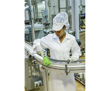 Vikan Harde Afwasborstel Met Korte Steel 270mm Limoen