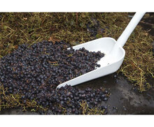 Vikan Ergonomische Schop Lange Steel 1280mm Wit