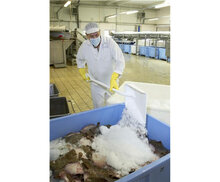 Vikan Schop D-Grip Standaard Blad 1040mm Wit