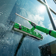 Unger VisaVersa Pro Pad 25cm